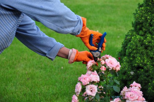 Professional gardener pruning plants in Yeading garden